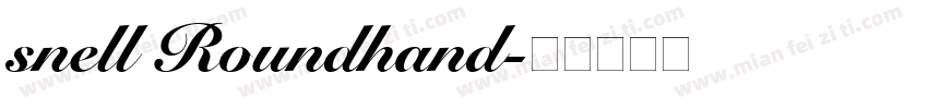 snell Roundhand字体转换